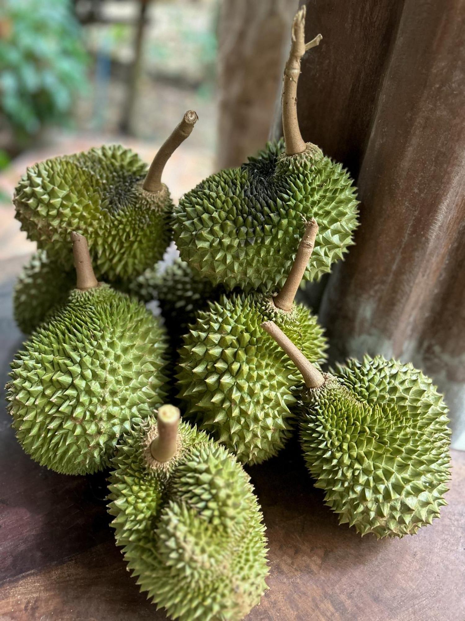 Kung Nok Tha Resort Nakhon Si Thammarat Exteriör bild